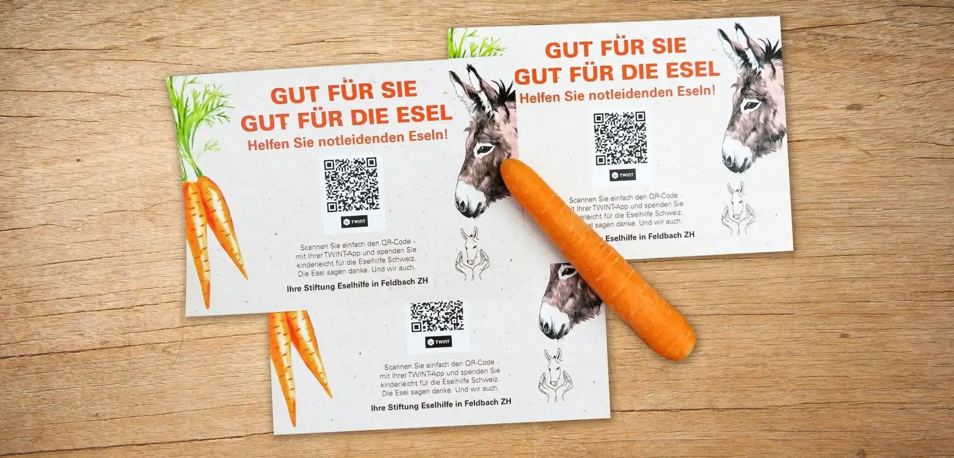 Flyer für die Eselhilfe.