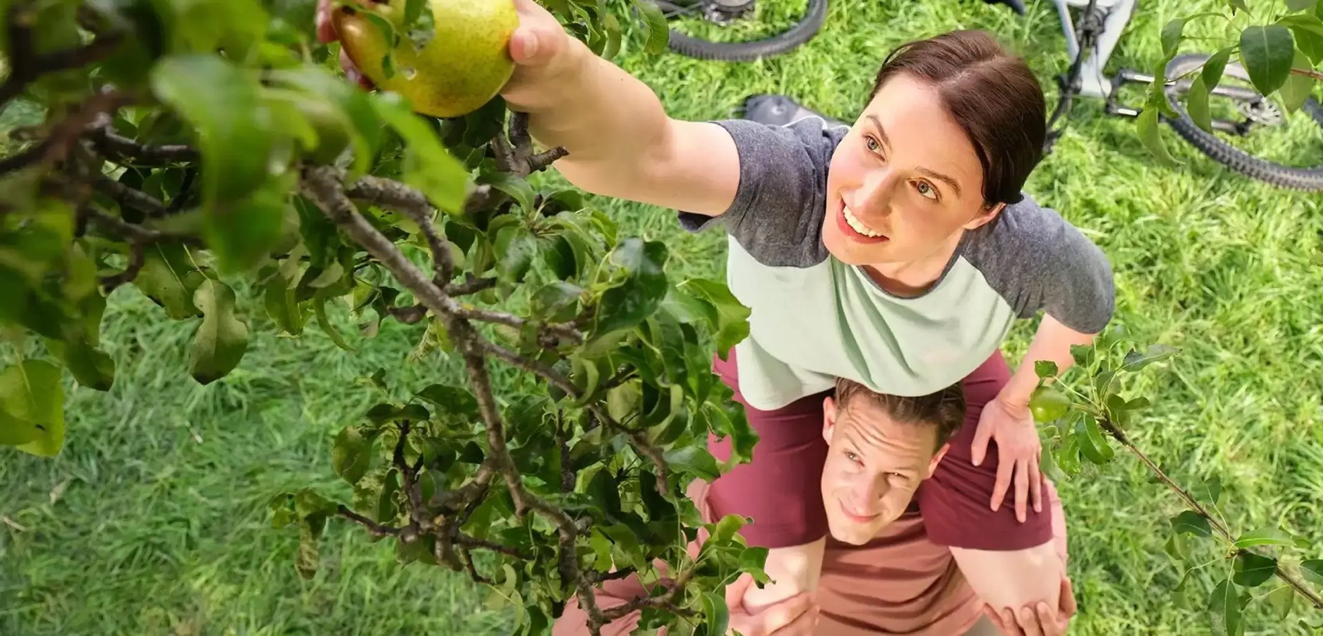 Eine Frau sitzt auf den Schultern eines Mannes. Sie greift nach oben, um nach einer Birne an einem Birnbaum zu greifen.