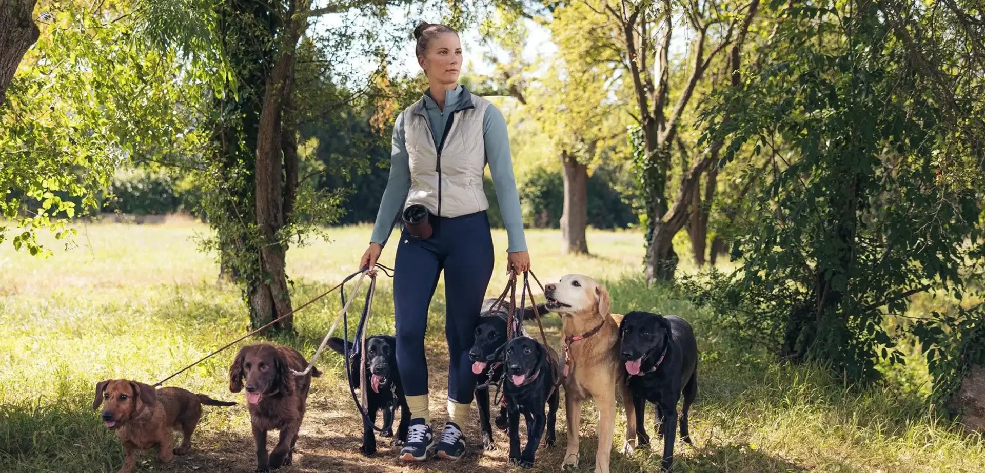 Eine Frau im Wald mit mehreren Hunden an Leinen.