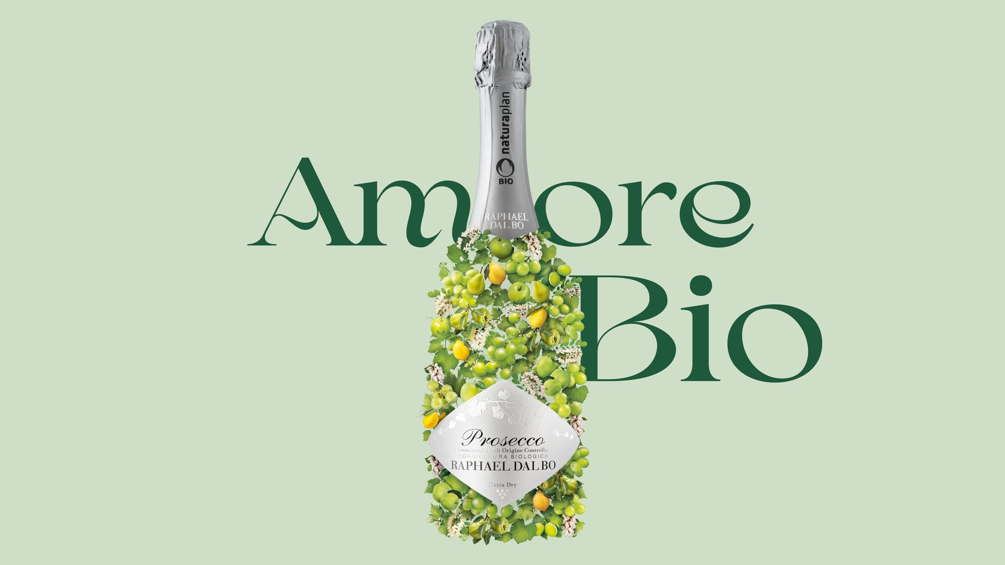 Raphael_Dal_Bo_Webcase_1920x1080px