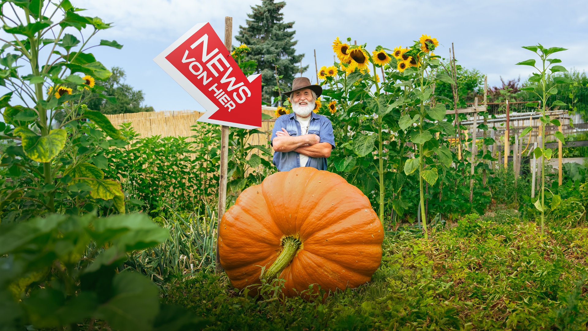 Ein Mann steht in einem Schrebergarten hinter einem grossen Kürbis. Ein Schild in Form eines Pfeils auf welchem steht "News von hier" zeigt auf den Kürbis.